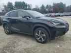 2018 LEXUS NX 300