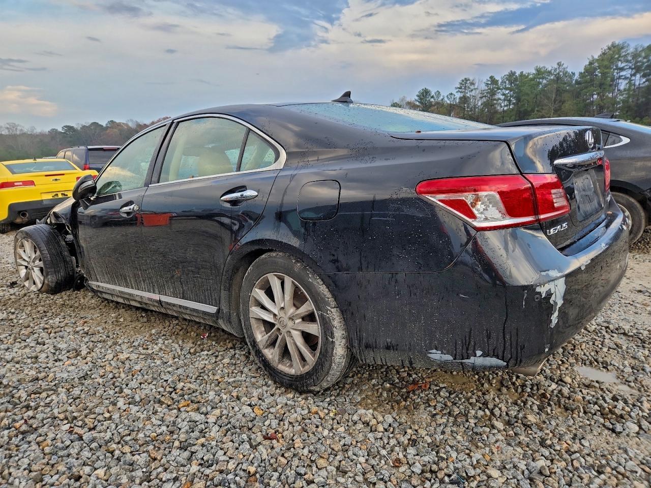 2010 LEXUS ES 350