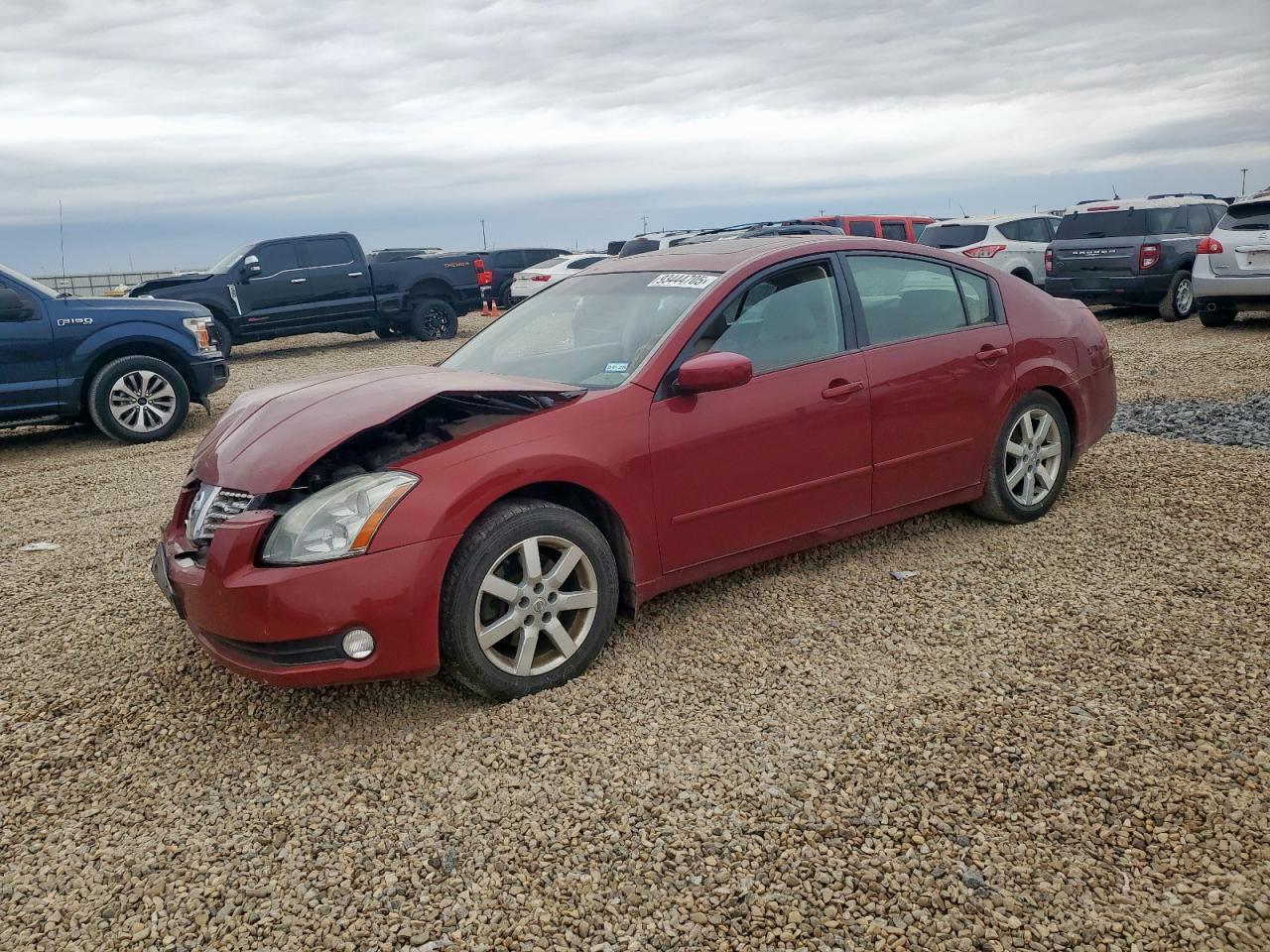 2004 NISSAN Maxima