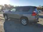 2010 LEXUS GX 460