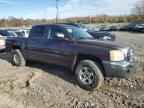 2005 DODGE Dakota
