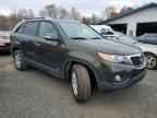 2013 KIA SORENTO
