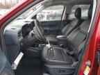 2025 FORD Maverick