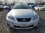 2011 LEXUS IS 250