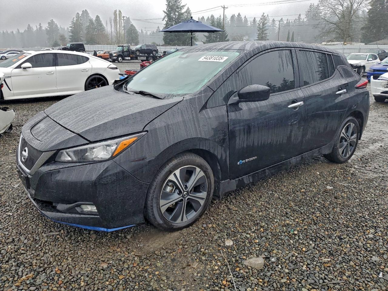 2019 NISSAN LEAF