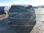 2024 KIA Niro