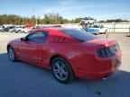 2013 FORD MUSTANG