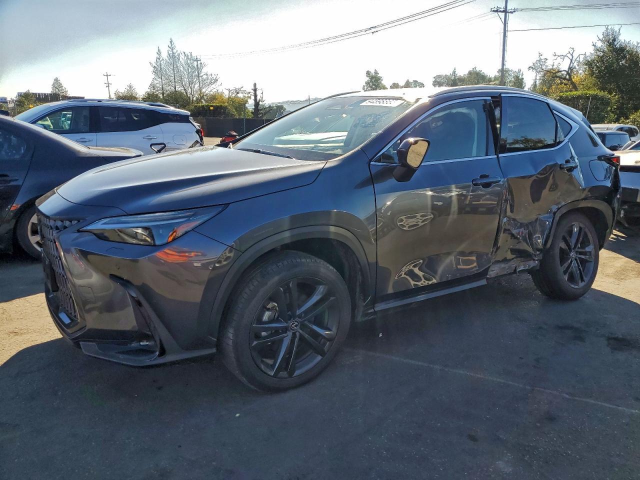 2024 LEXUS Nx