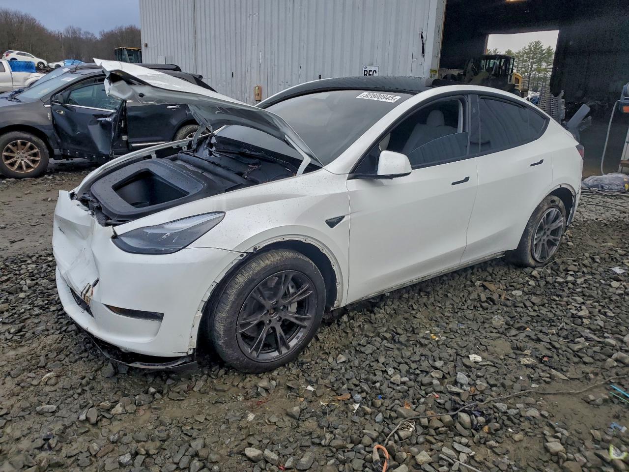 2025 TESLA MODEL Y