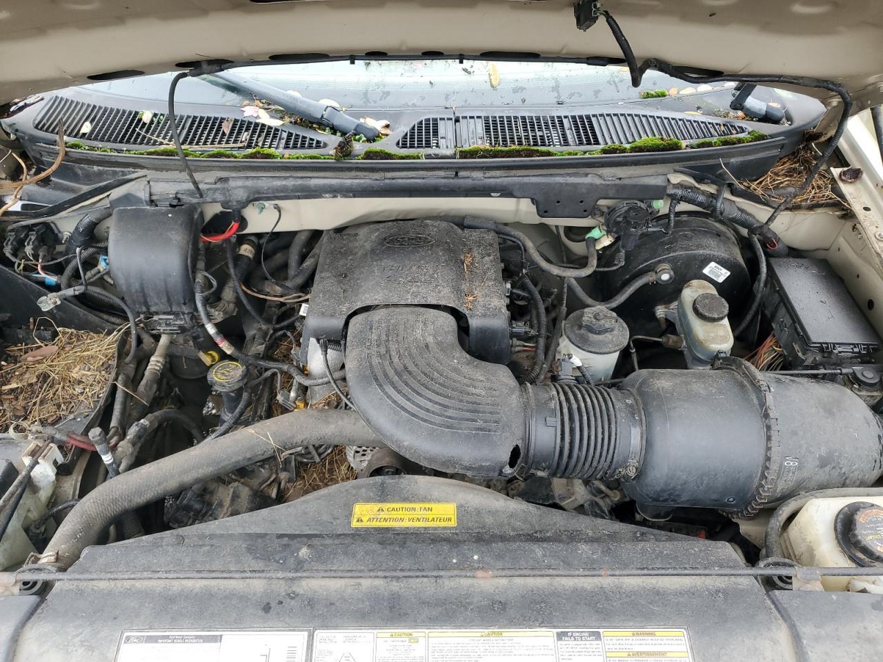 1999 FORD F-150