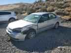 2005 CHEVROLET MALIBU