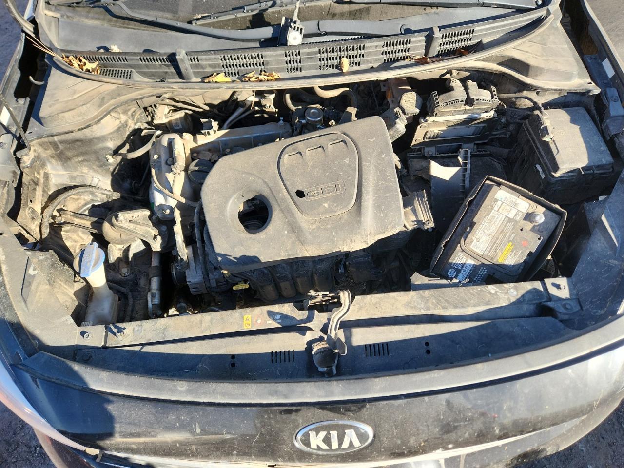 2018 KIA RIO