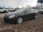 2010 CHEVROLET MALIBU