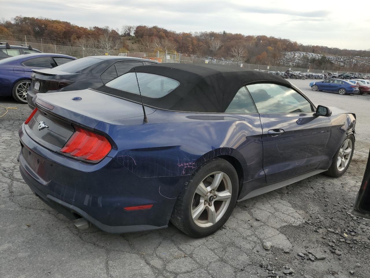 2019 FORD MUSTANG