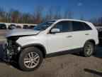2014 KIA SORENTO