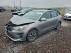 2023 KIA RIO