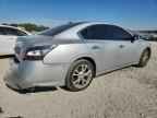 2014 NISSAN Maxima