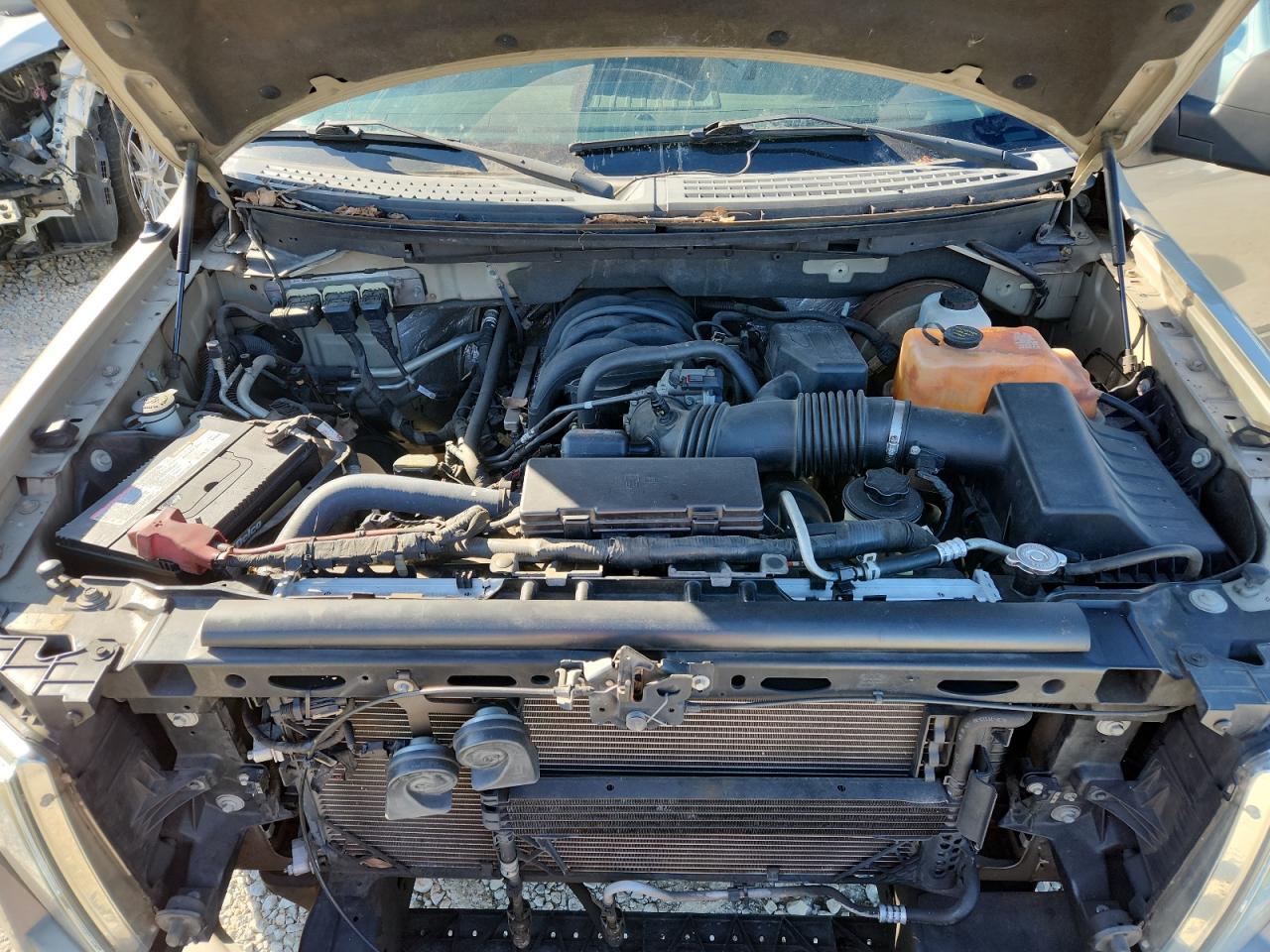 2010 FORD F-150