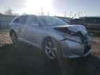 2010 TOYOTA VENZA
