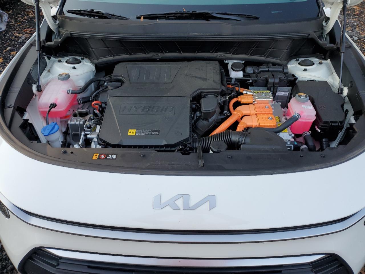 2025 KIA Niro