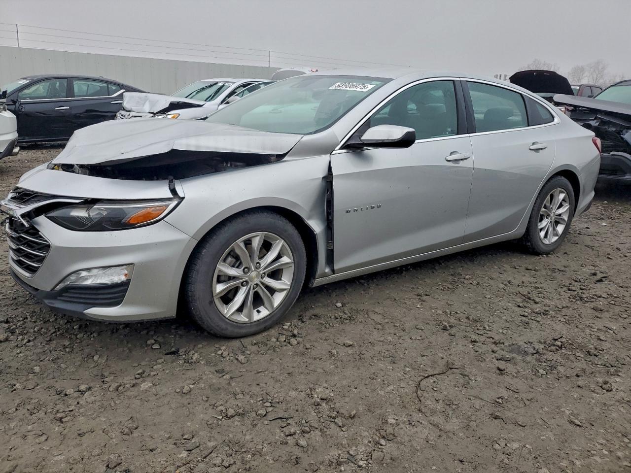 2019 CHEVROLET MALIBU