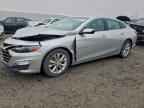 2019 CHEVROLET MALIBU