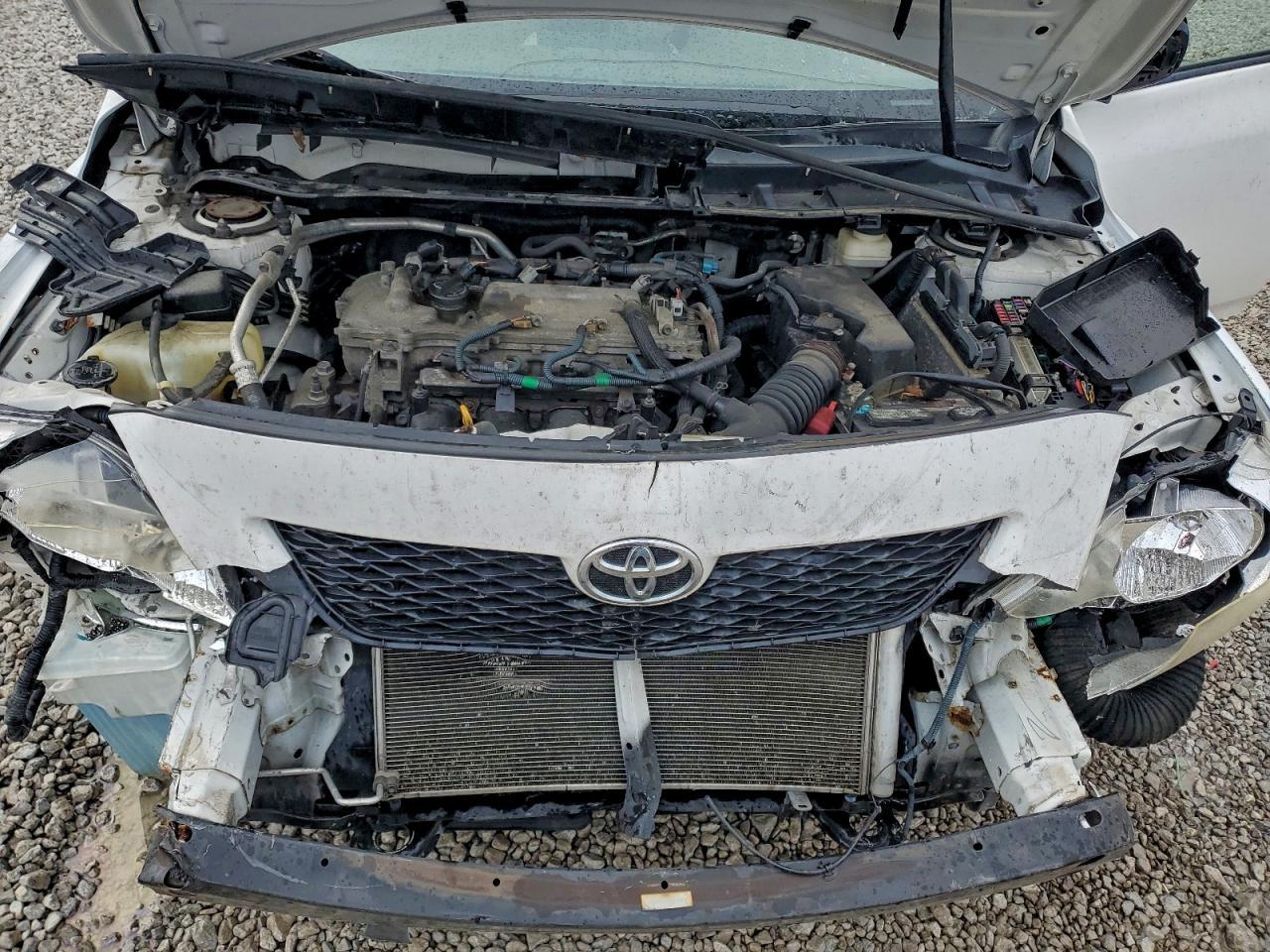 2010 TOYOTA COROLLA