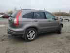 2010 HONDA CR-V