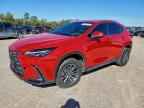 2024 LEXUS NX 250
