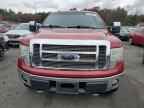 2009 FORD F-150