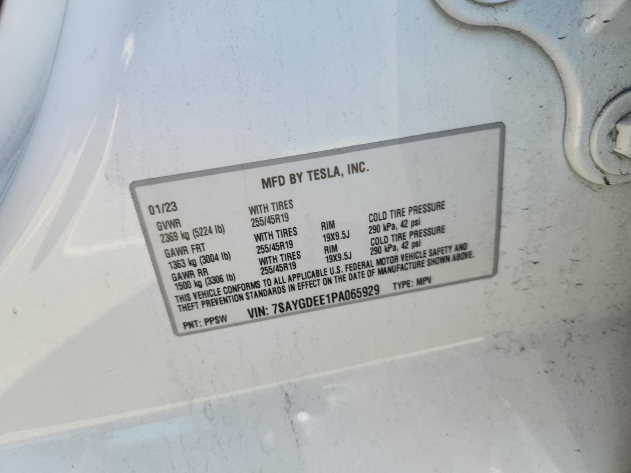 2023 TESLA MODEL Y