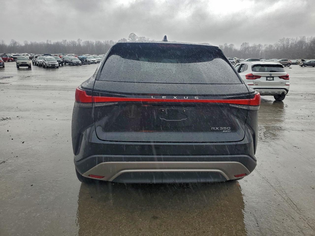 2024 LEXUS RX 350