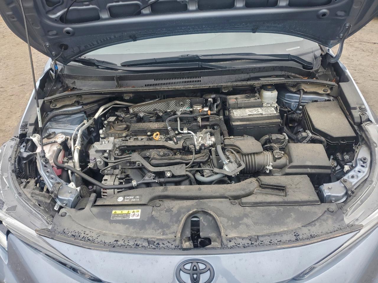 2023 TOYOTA COROLLA