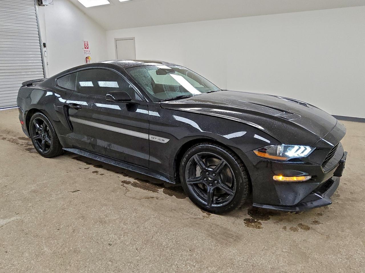 2019 FORD MUSTANG