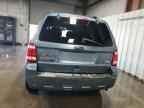 2010 FORD ESCAPE