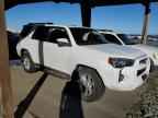2023 TOYOTA 4Runner