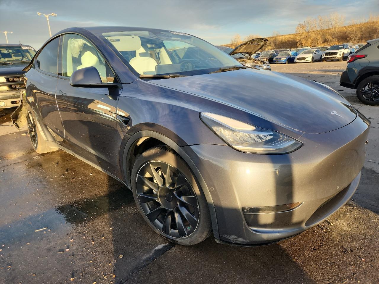 2021 TESLA MODEL Y