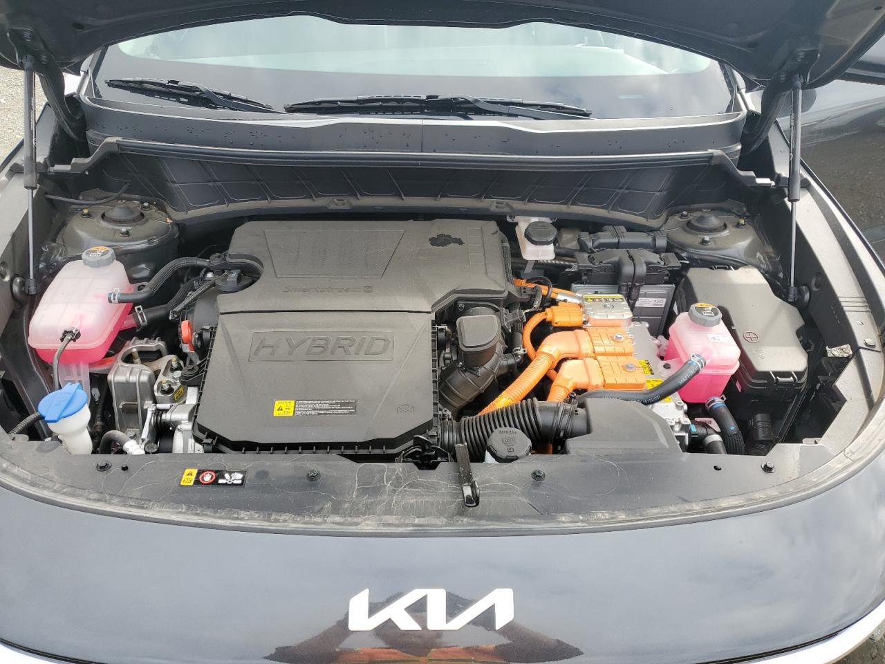 2024 KIA Niro