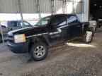 2009 CHEVROLET Silverado