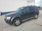 2009 FORD ESCAPE