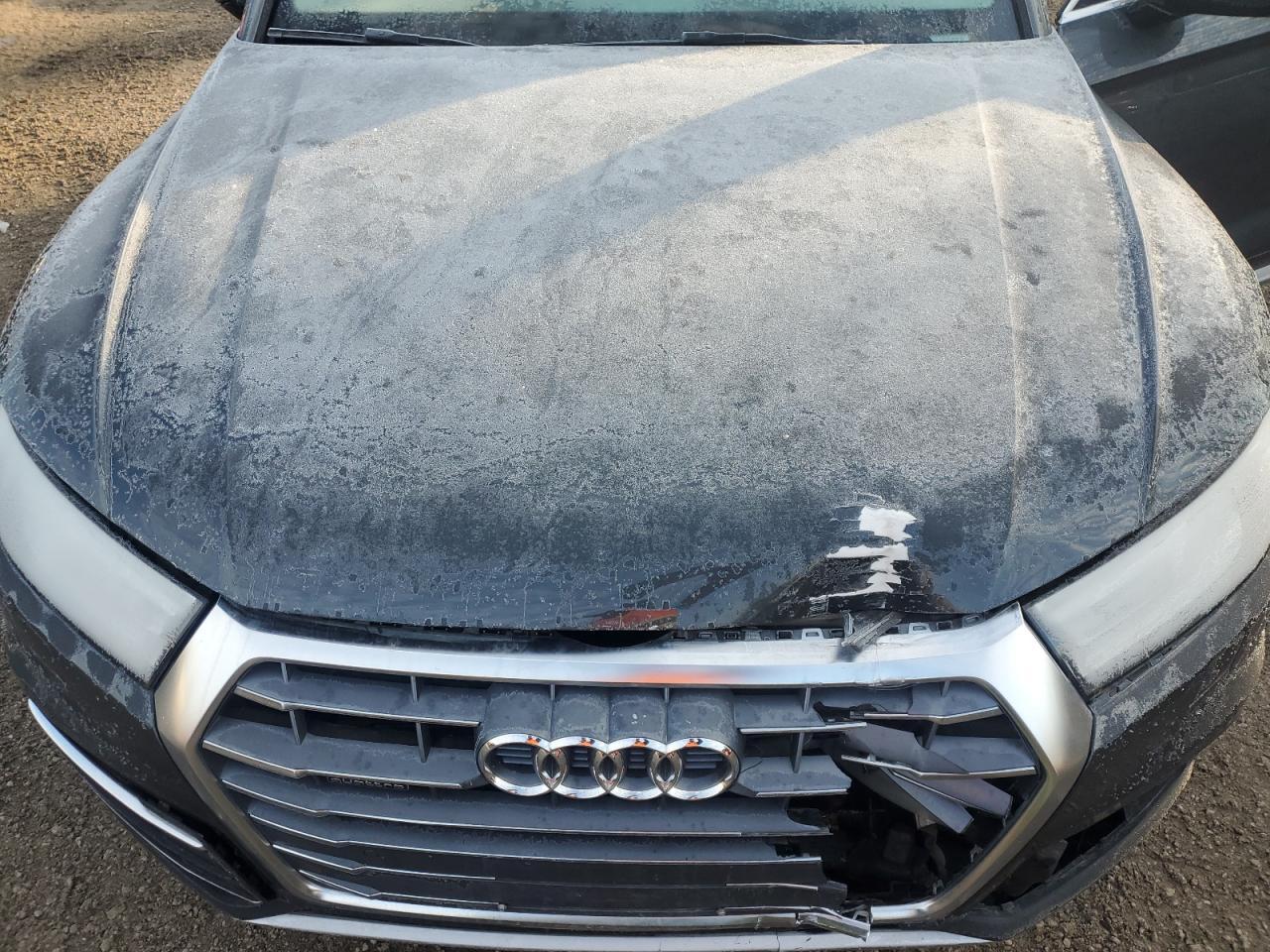 2019 AUDI Q5