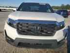 2023 HONDA Passport