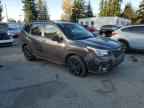 2019 SUBARU FORESTER