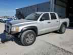 2005 DODGE Dakota
