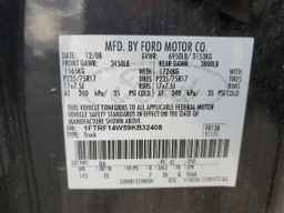 2009 FORD F-150 Lightning