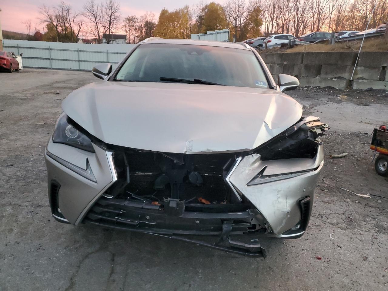 2018 LEXUS NX 300H