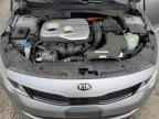 2017 KIA Optima Hybrid