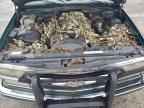 1998 CHEVROLET Gmt