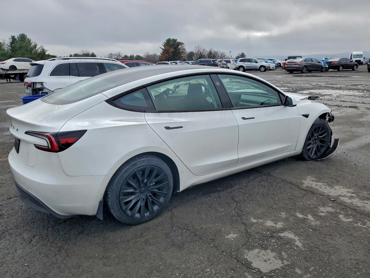 2025 TESLA MODEL 3