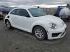 2019 VOLKSWAGEN Beetle